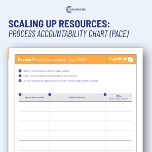 Process Accountability Chart Scaling Up template download